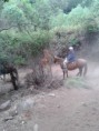 /album/fotogaleria-inicio/celular-papa-528-jpg/